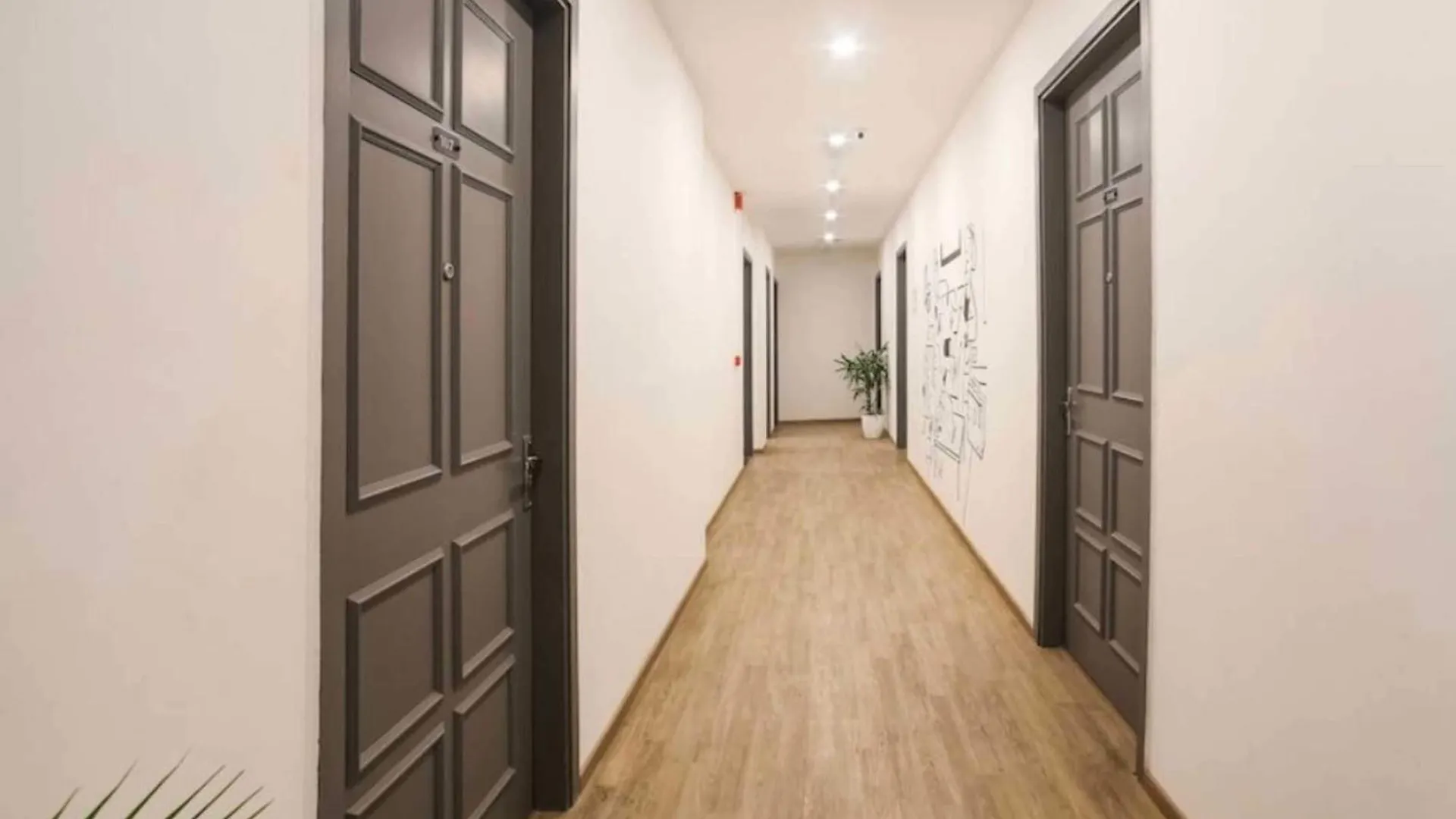 Hotel Collection O Kailash Enclave Delhi